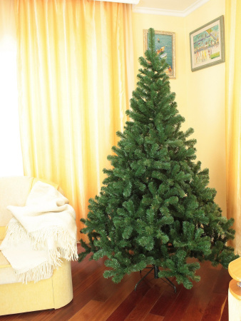 St.Petersburg 215 см (6)