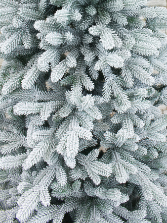 Агнес заснеженная побег интерьер_2_мал