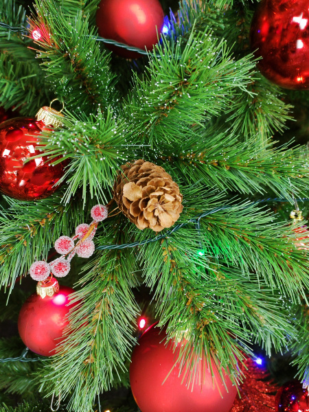 Tiffany 1,9 побег (5)