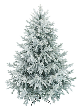 Пальмира раскидистая заснеженная_3_мал