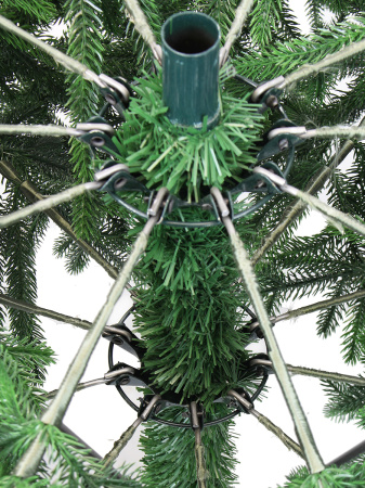 Пальмира раскидистая-деталь 3_мал