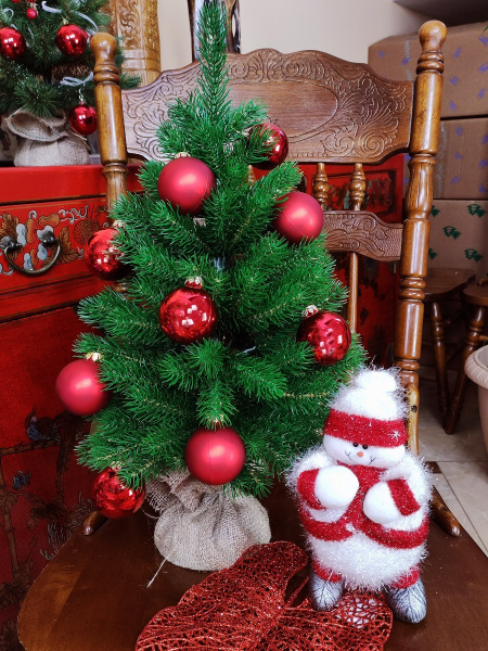 лира 0,6 (5) лира 0,6 (5)