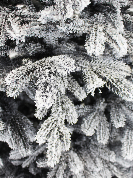 1035021_2 1035021_2