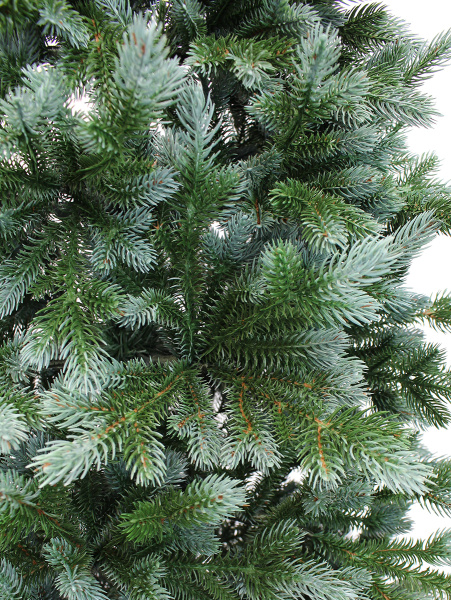 Хрустальная побег_2_мал