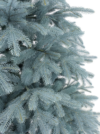 Виола NEW побег_1_мал