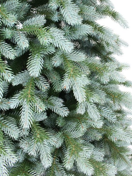 Монреаль побег_4_мал