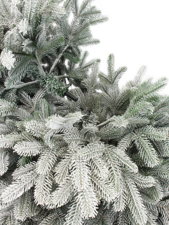 Альтаир заснеженная деталь 1_мал