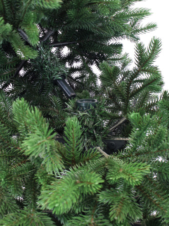 Шарлотта деталь 2_мал