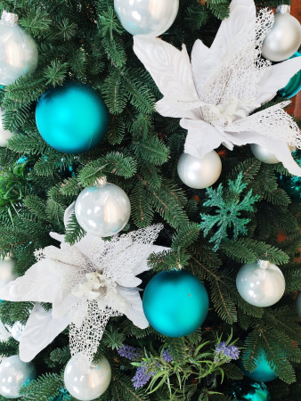 Meridian 1,9 побег (7)