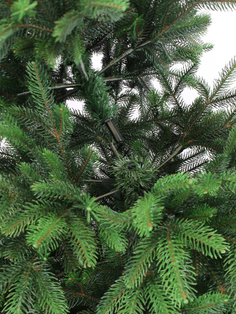 Альтаир деталь_мал