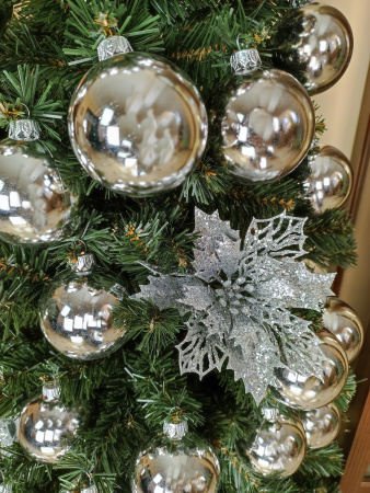 Кипарис 180 см (17)