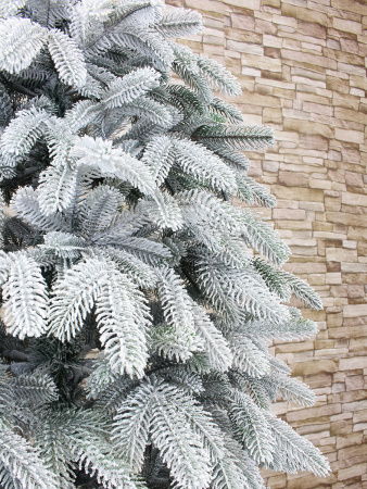 Верона заснеженная побег интерьер_4_мал