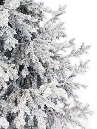 Пальмира раскидистая заснеженная_побег_мал