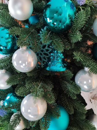 Meridian 1,9 побег (5)