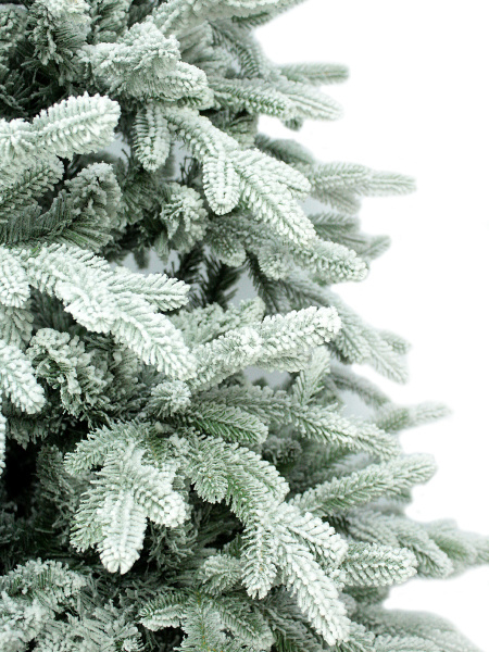 побег еще (1) побег еще (1)