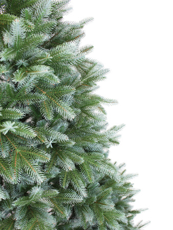 Ариэль побег_мал (2)