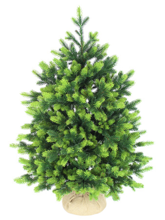 Андромеда 75 см_мал