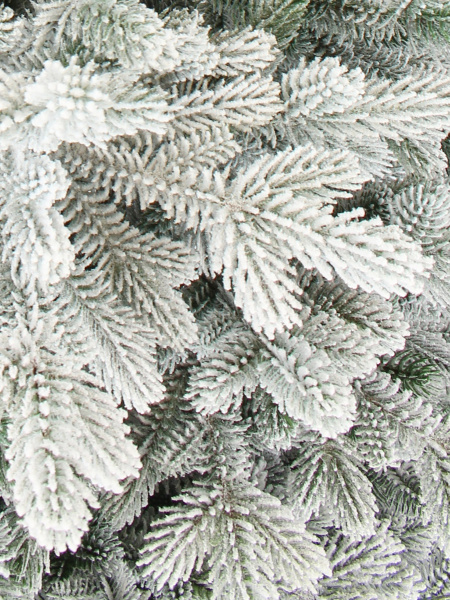 Шарлотта 190 см побег_2_мал