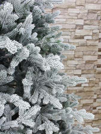 Берта побег интерьер_мал