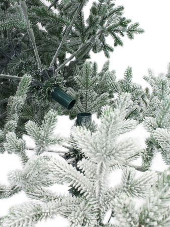 Берта Заснеженная деталь_2_мал