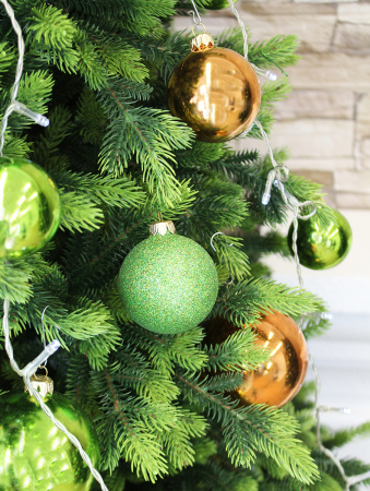 Андромеда в интерьере побег_3_мал