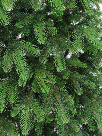 Верона побег_2_мал