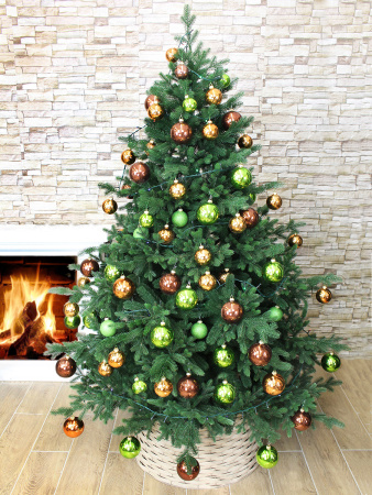 Каролина в интерьере_3_мал