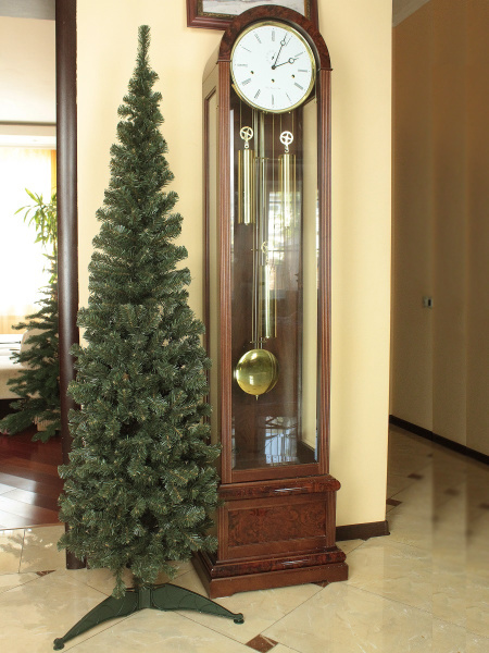 Кипарис 180 см (3)