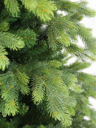 Emerald new побег_мал