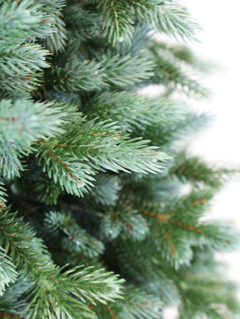 Сириус побег_мал (3)