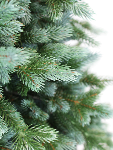 Сириус побег_мал (3)