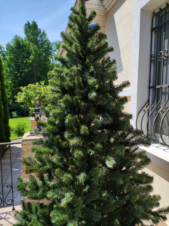 Канадская 240 см (3)