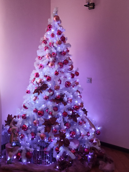 Метелица_2 Метелица_2