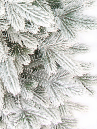 Шарлотта побег_мал