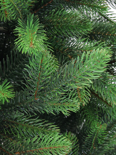 Медея Премиум новый цвет побег_2_мал