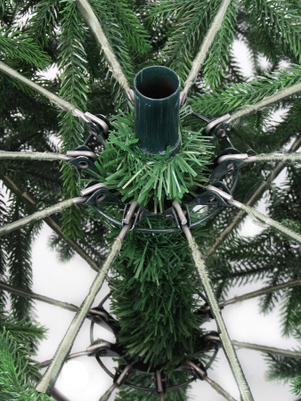 Пальмира раскидистая-деталь 4_мал