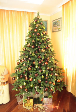 emerald 240 см (8)