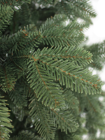 Meridian побег 3_мал