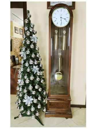 Кипарис 180 см (15)