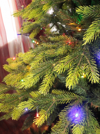 cosmos побег (10)