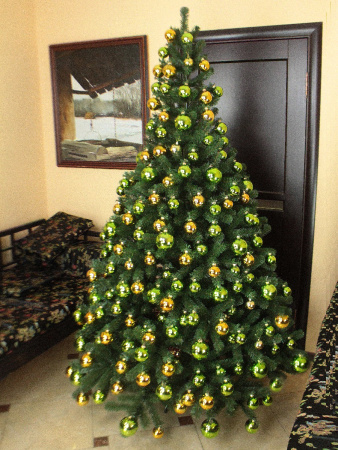 Звездная light 240 см (8)