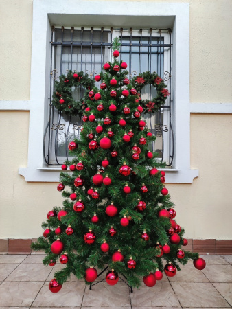 Скандинавская 2,1 (7)