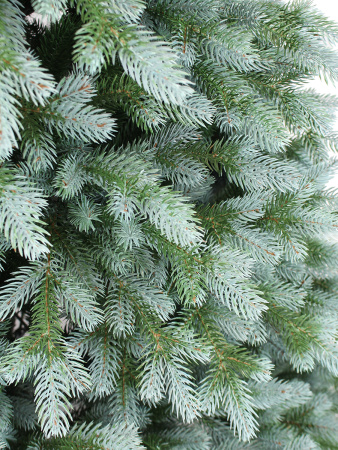 Монреаль побег_2_мал