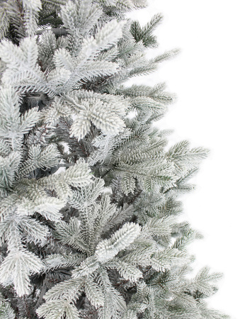 Амалия заснеженная побег_мал