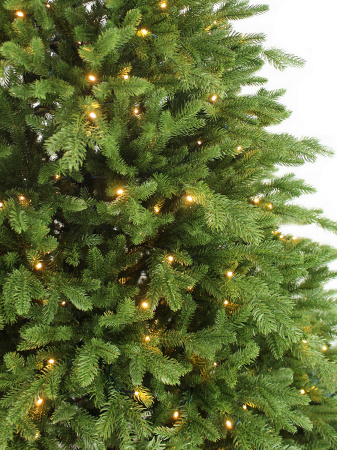 Эвредика побег_3_мал