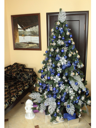 Сибирская 210 (7)_