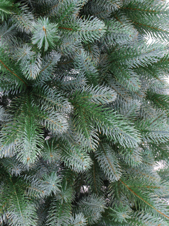 Афина Голубая побег_2_мал