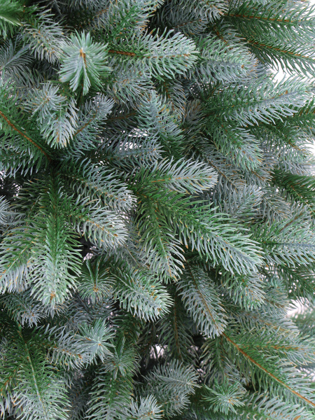 Афина Голубая побег_2_мал